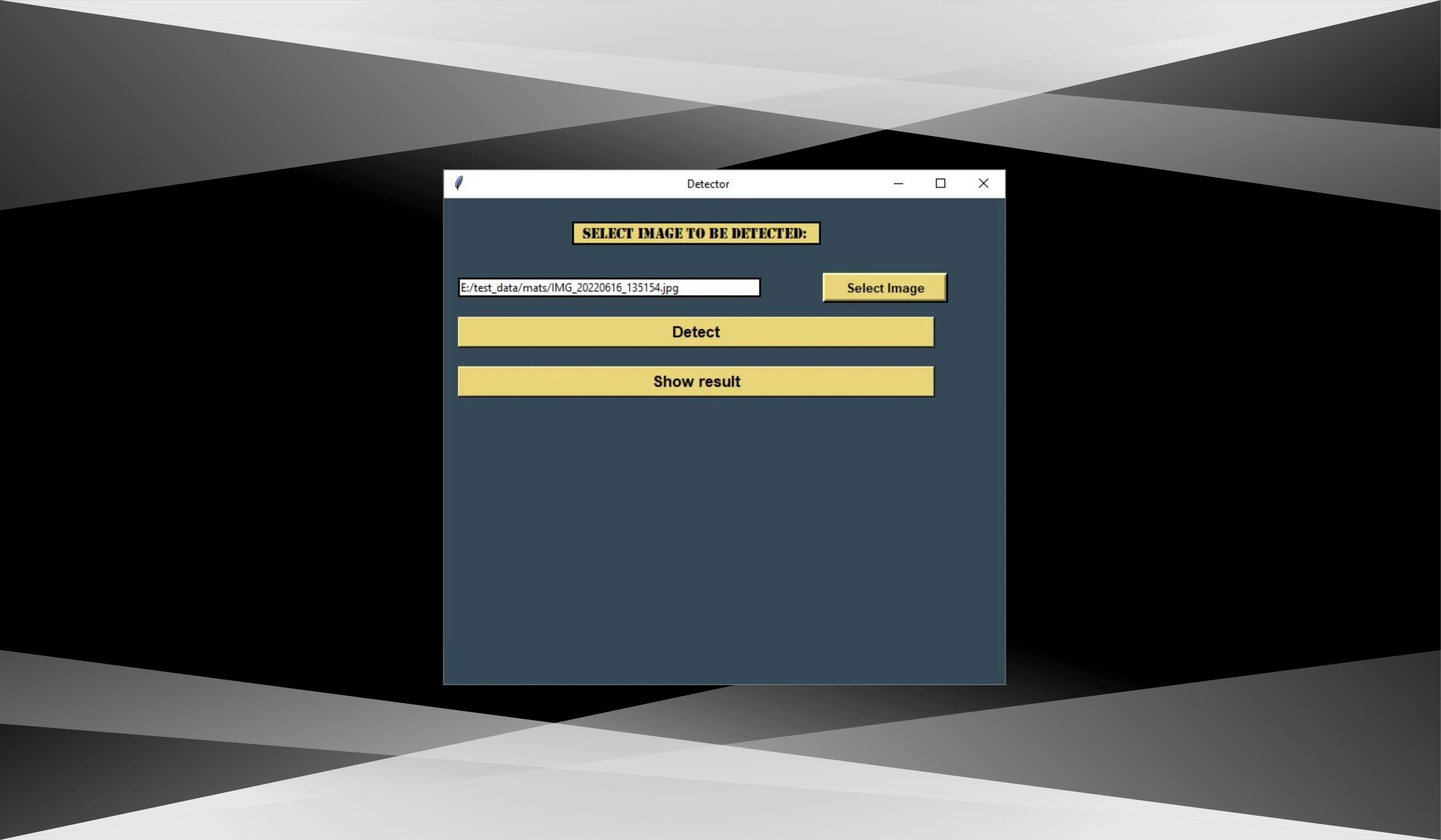 Image Detection Using YOLOv5